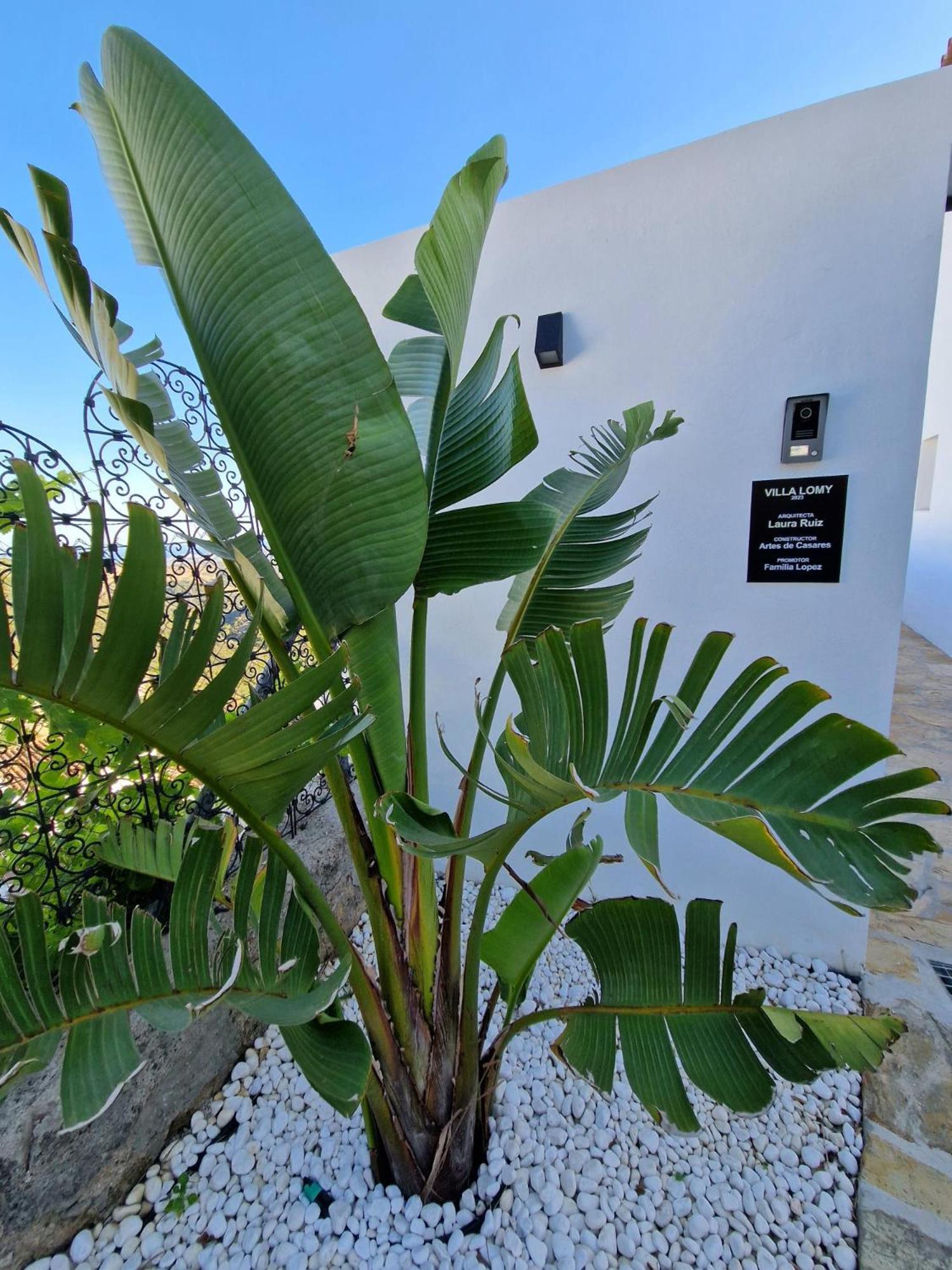 Villa Lomy קסרס מראה חיצוני תמונה